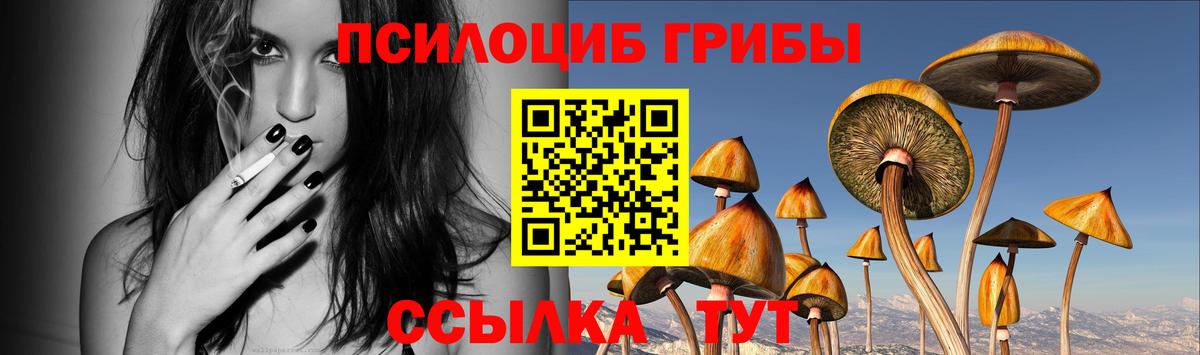 Жигулёвск  Галлюциногенные грибы Psilocybine cubensis  цена   Галлюциногенные грибы мицелий  Вход с VPN 